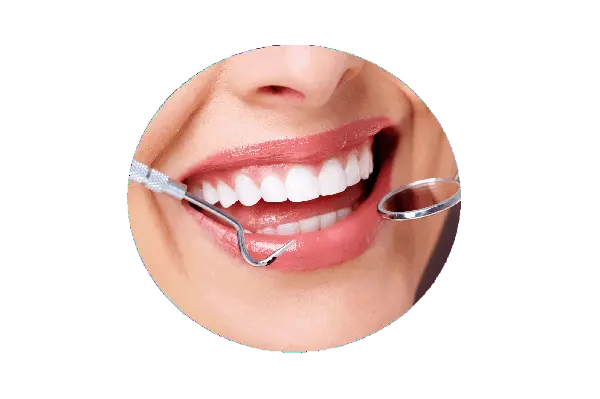 Periodontia